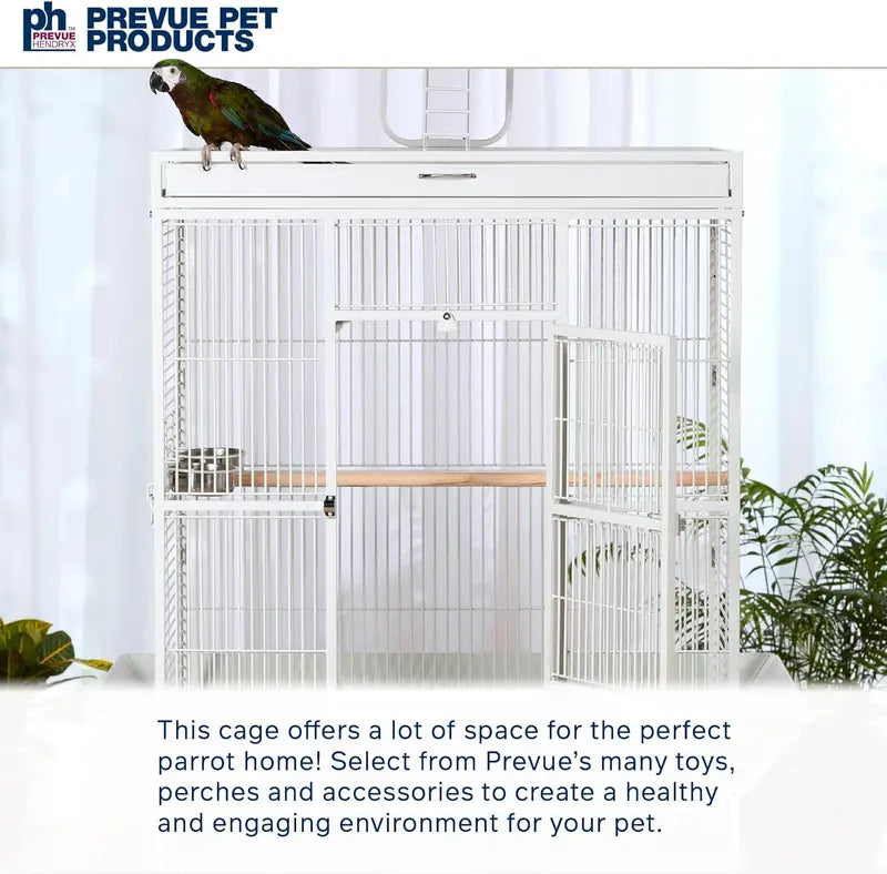 Wrought Iron Select Bird Cage Chalk White, 36″ x 24″ x 66″, Spacious Avian Habitat