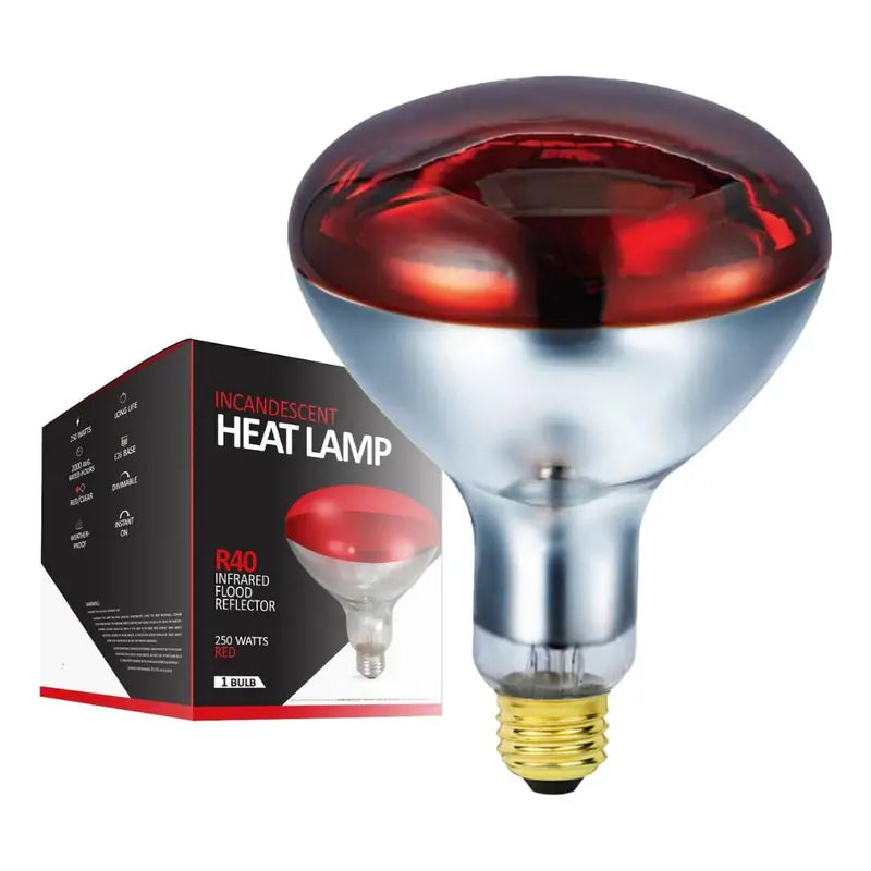 250W R40 Infrared Heat Lamp Bulb for Patios, Garages, and Outdoor Heating