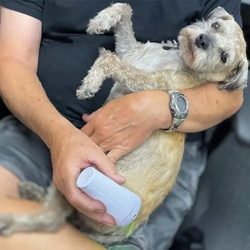 LumaSoothe 2 LED Light Therapy for Dogs & Pets Pain Relief, Muscle & Joint Pain, Inflammation, Wound Healing, Skin Problems