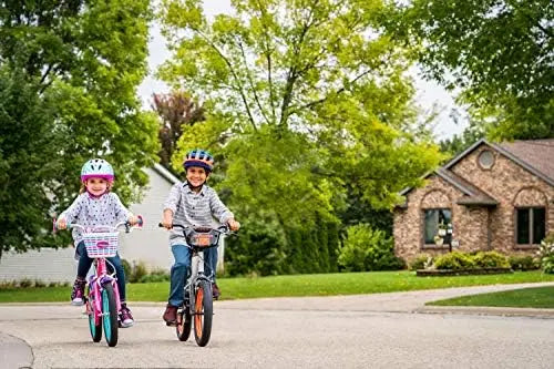 Schwinn Scorch 16″ Kids BMX Bike for Ages 3-7 Grey with Training Wheels & Accessories