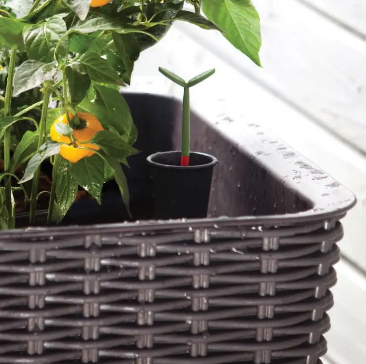 Dark Brown Wicker Raised Garden Planter with Integrated Water Level Indicator