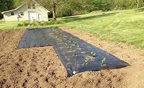 Agfabric Easy-Plant Weed Block for Raised Bed Outdoor Garden Weed Rugs Garden mat 3.0oz, 4’x12′,with Planting Hole Dia 3″