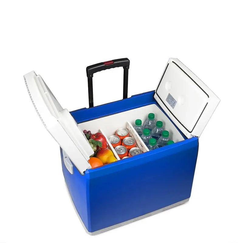 46-Quart 12V Portable Cooler and Warmer with Dual-Temp Functionality