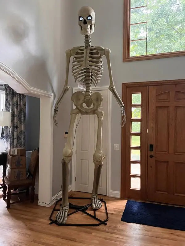 LifeEyes LCD-Equipped Giant Skeleton Realistic Animated Eye Display