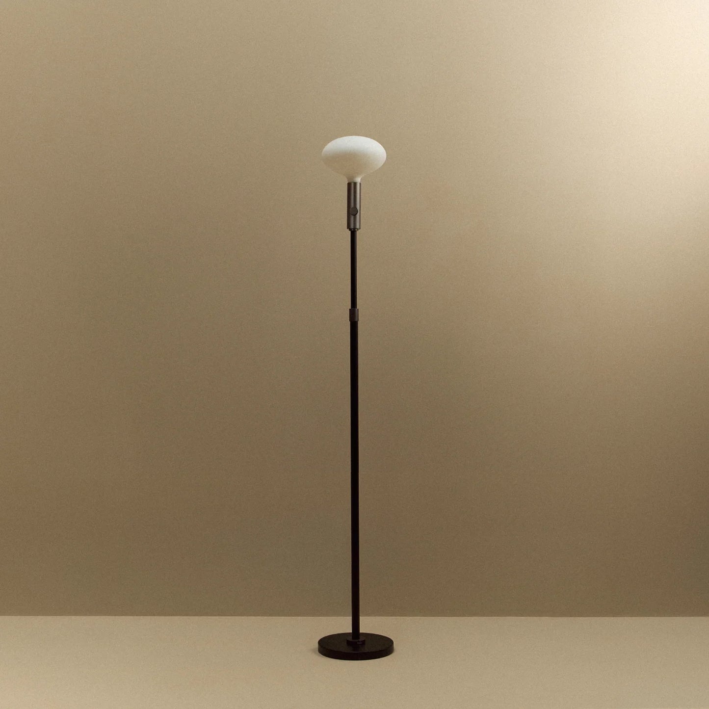 Poise Adjustable Floor Lamp in Graphite + Oval II