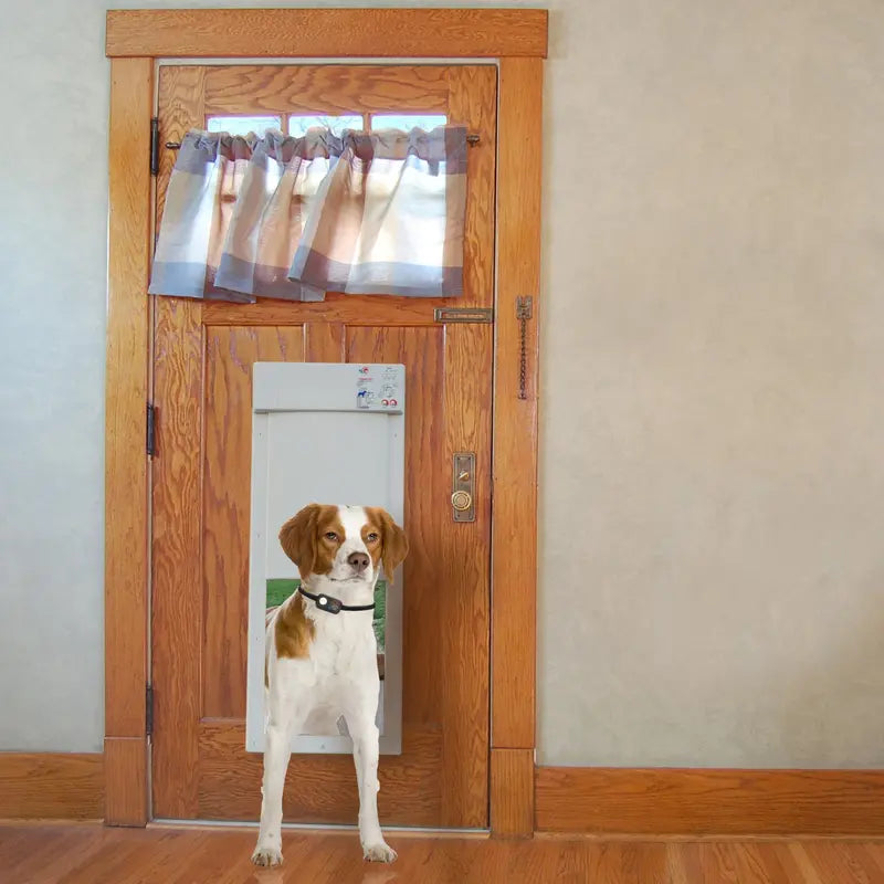 Power Pet PX-2 Large Electronic Pet Door Programmable, Weather-Sealed, Dual-Panel Flap System
