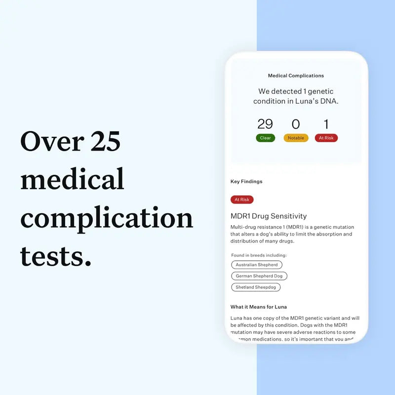 Wisdom Panel Essential: Accurate 365+ Breed DNA Test, 30 Health Checks, 50+ Traits, Ancestry & Relatives