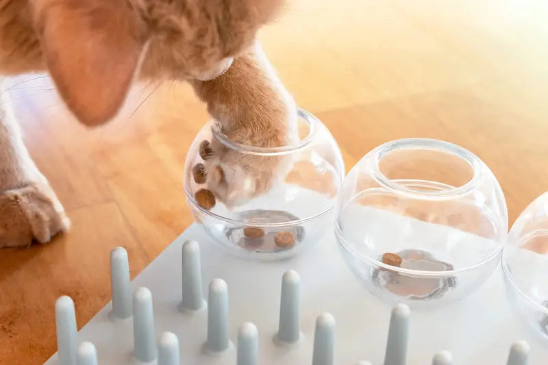 Cat Fun Board Interactive Puzzle Toy Stimulating Strategy Game for Healthy Eating