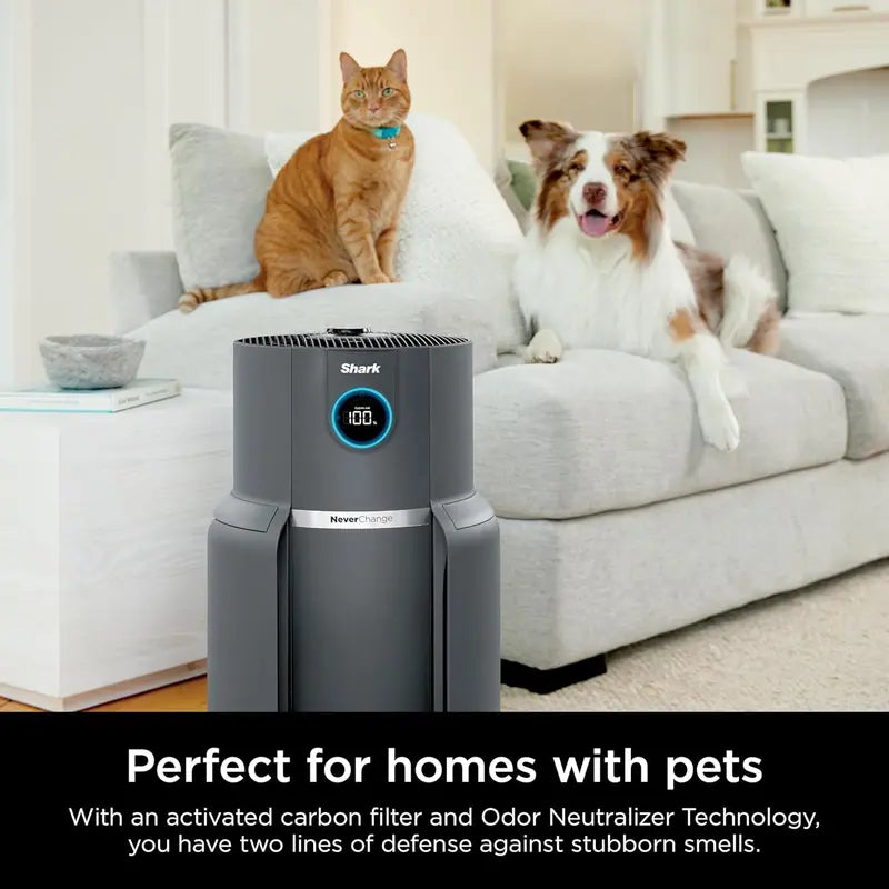 Compact Air Purifier with True HEPA Filtration Pet Dander, Dust & Allergen Removal for Rooms up to 250 sq. ft.