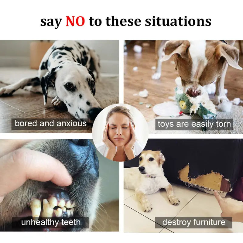 LECHONG 5 Pack No Stuffing Squeaky Dog Toy, Plush Dog Toys for Puppy, Durable Dog Chew Toys for Small Medium Large Dogs