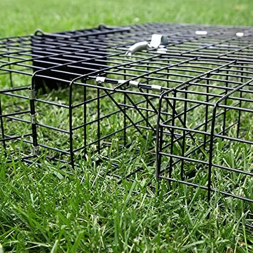 Rugged Ranch Squirrelinator Live Trap Dual-Door, Heavy-Gauge Wire Cage for Humane Squirrel Relocation