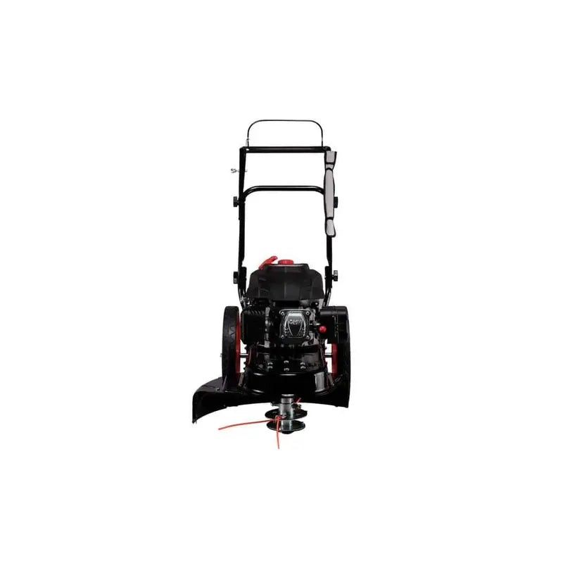 22-Inch Gas-Powered Walk-Behind String Trimmer and Mower (173cc)