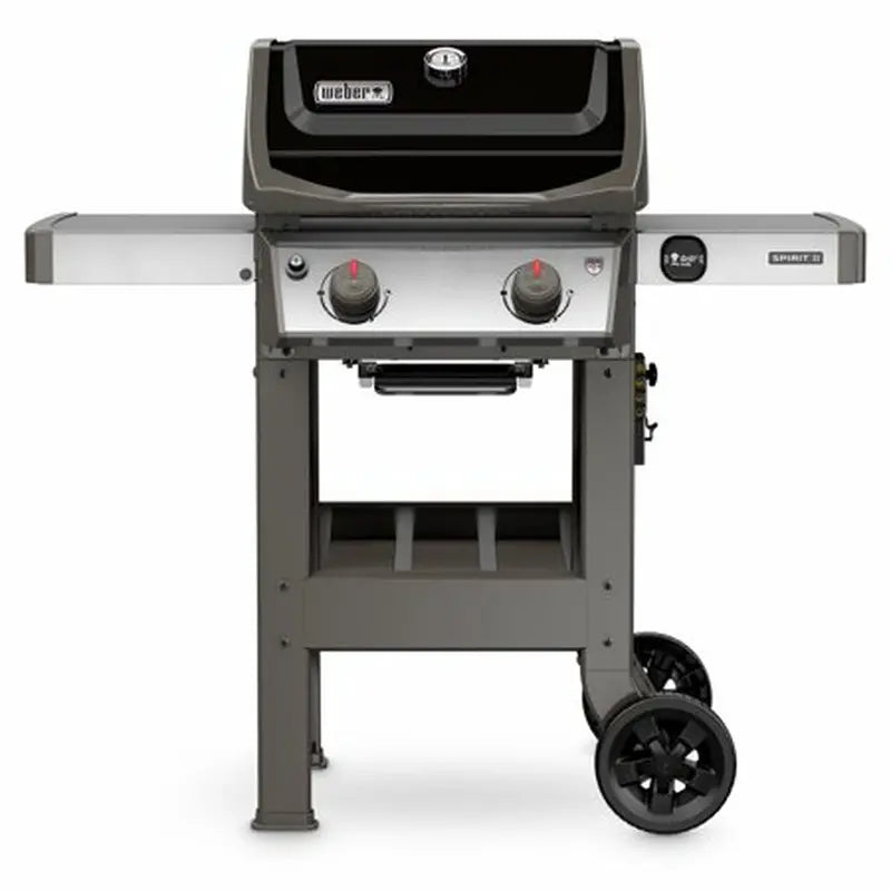 Freestanding Propane Gas Grill  Sleek Black Finish
