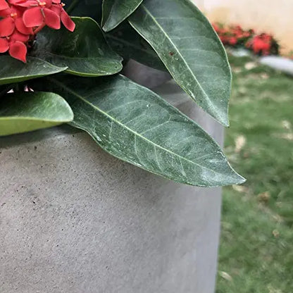 Kante Lightweight Durable Modern Round Outdoor Planter, 18  x 18  x 17