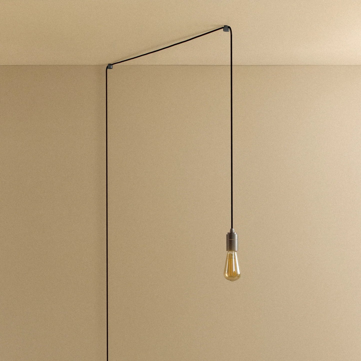 Squirrel Cage Plug-In Pendant in Graphite