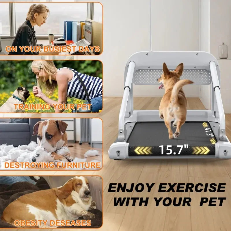 Witaxima 2025 Smart Pet Treadmill  Ultra-Quiet, Speed-Adjustable Exercise Machine for Small to Medium Dogs