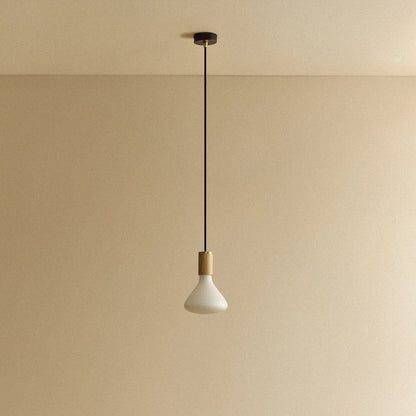 Noma Pendant Light in Oak