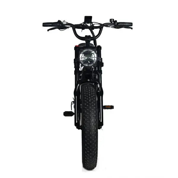 High-Performance Electric Mountain Bike  1000W Motor, 48V 20Ah Removable Battery, 45mph Top Speed, 20″x4.0″ Fat Tires, Shimano 7-Speed