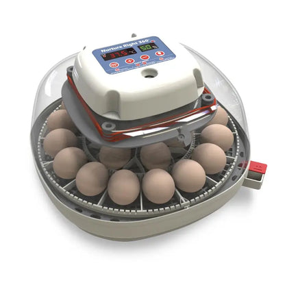 Harris Farms Nurture Right Egg Incubator for Hatching Chicks   Holds 22 Eggs