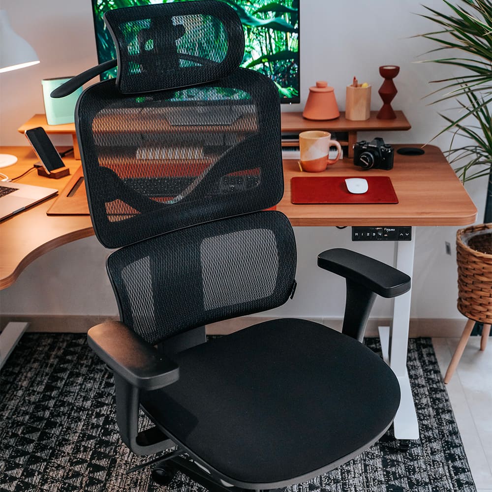 Chaise ergonomique de bureau - TERRANA en mousse et maille