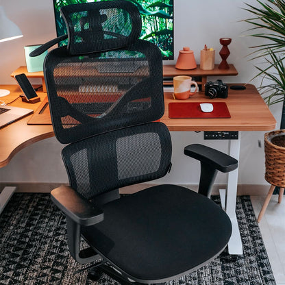 Chaise ergonomique de bureau - TERRANA en mousse et maille