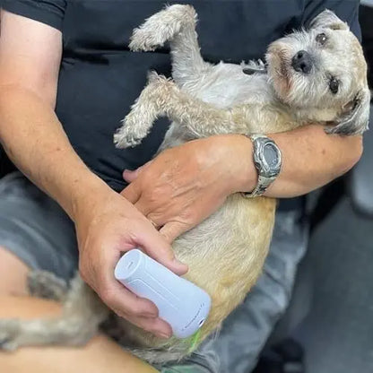LumaSoothe 2 LED Light Therapy for Dogs & Pets  Pain Relief, Muscle & Joint Pain, Inflammation, Wound Healing, Skin Problems