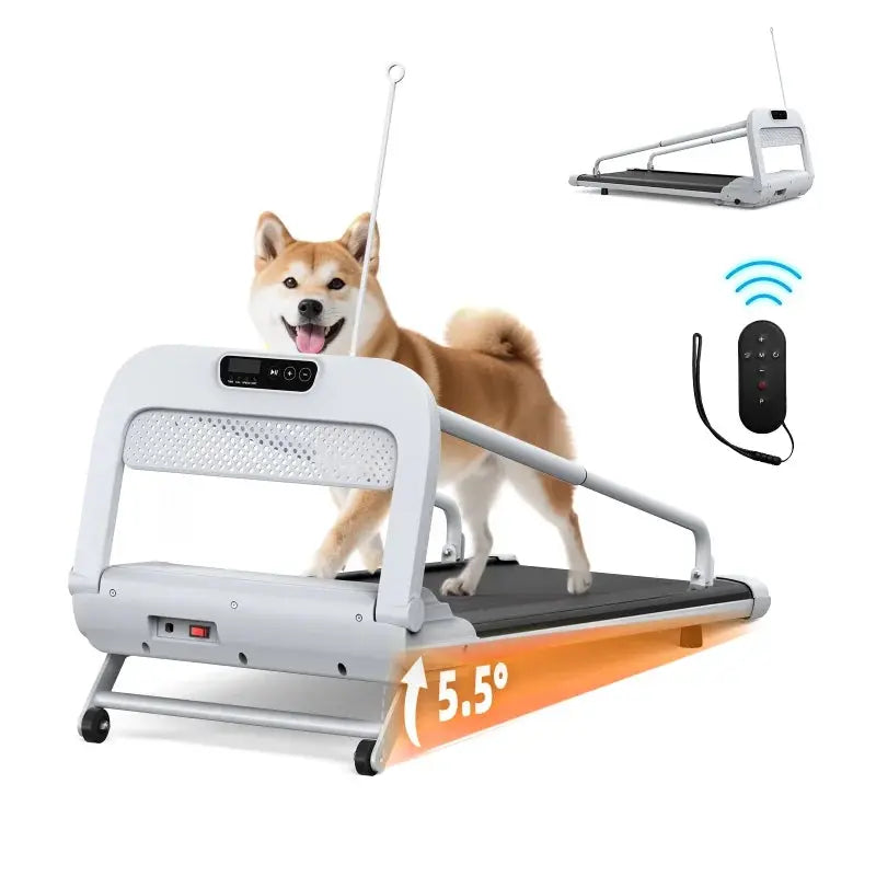 Witaxima 2025 Smart Pet Treadmill  Ultra-Quiet, Speed-Adjustable Exercise Machine for Small to Medium Dogs