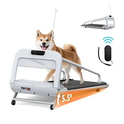 Witaxima 2025 Smart Pet Treadmill  Ultra-Quiet, Speed-Adjustable Exercise Machine for Small to Medium Dogs