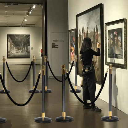 6-Piece Stainless Steel Stanchion Set  Queue Management System for Events and Venues