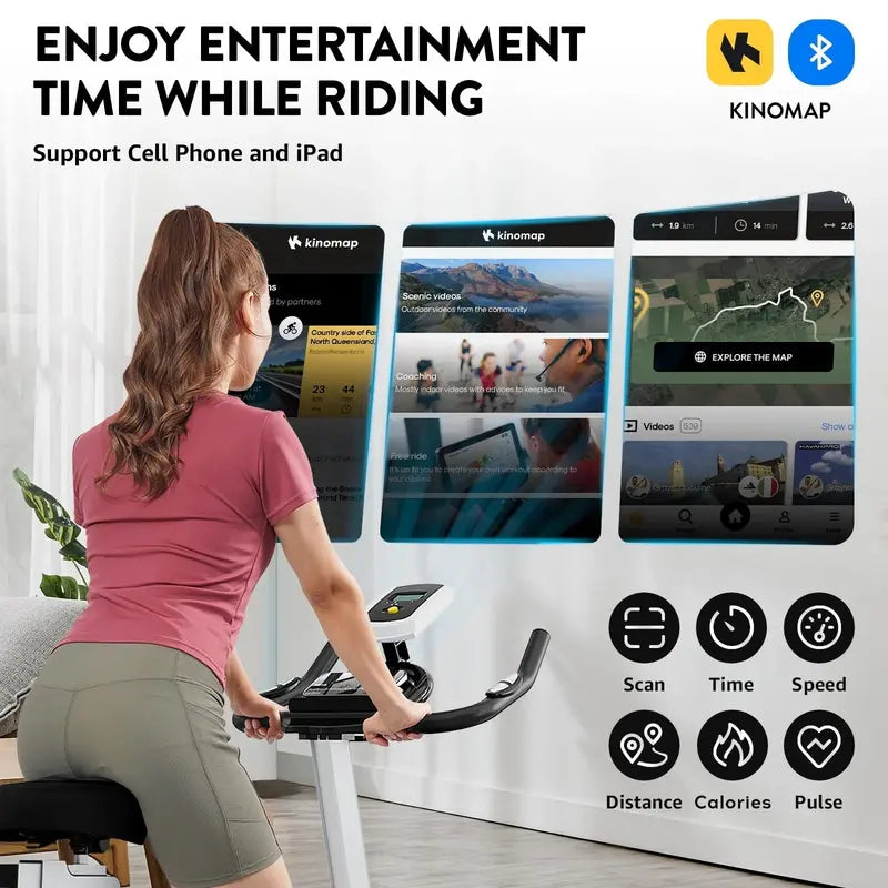 Pooboo Magnetic Indoor Cycling Bike  350 lb Weight Capacity, 40 lb Flywheel, Home Cardio Machine