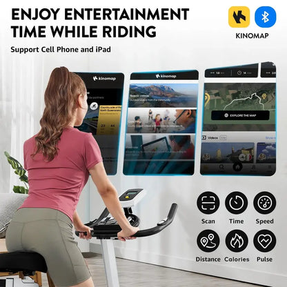 Pooboo Magnetic Indoor Cycling Bike  350 lb Weight Capacity, 40 lb Flywheel, Home Cardio Machine