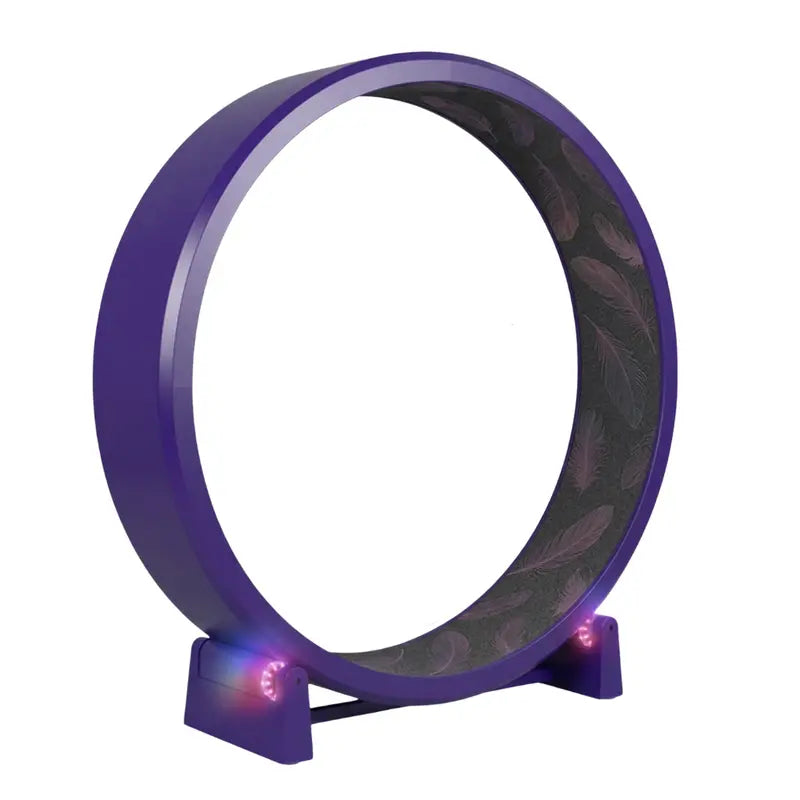 Large-Diameter 48-Inch Exercise Wheel with Non-Slip Black Felt Tread Surface
