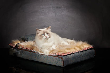 Lit pour chat « Inuit » bleu océan