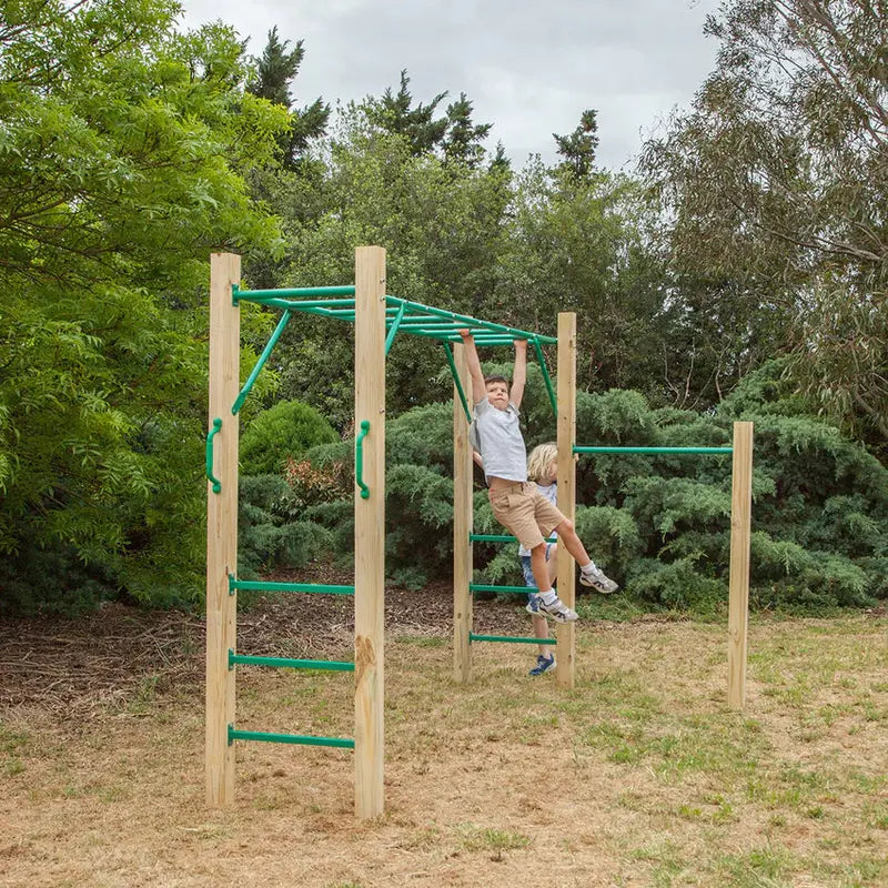 Lifespan Kids 2.5m Monkey Bars  Modular Outdoor Fitness Play Set for Children