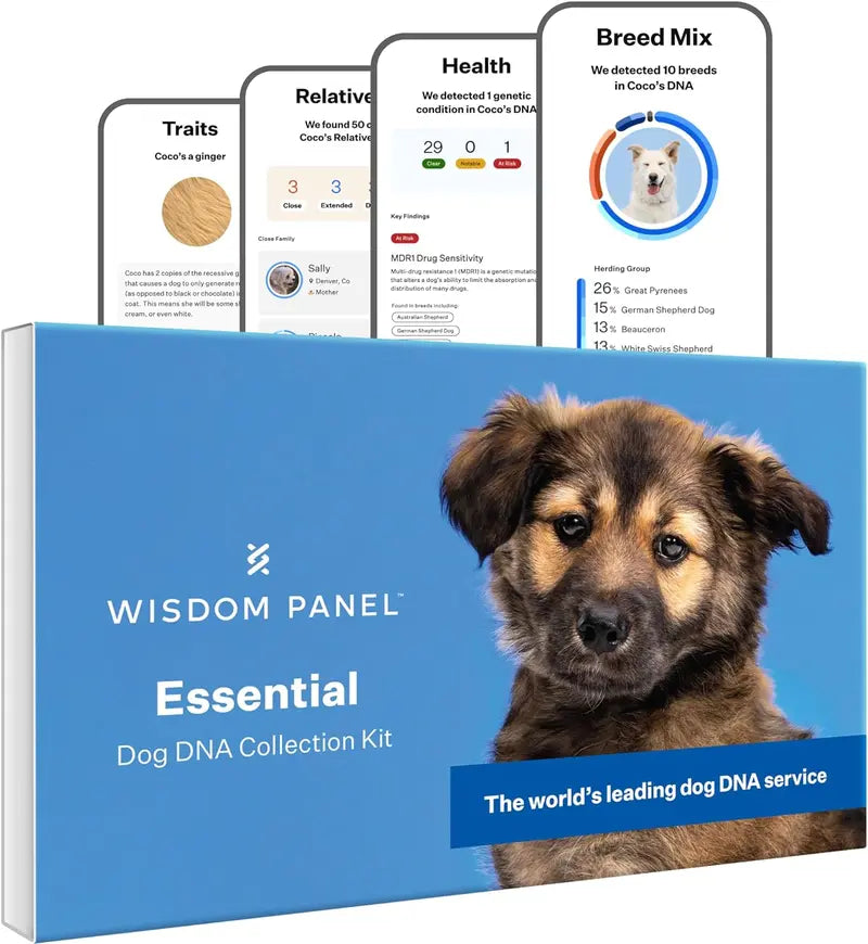 Wisdom Panel Essential: Accurate 365+ Breed DNA Test, 30 Health Checks, 50+ Traits, Ancestry & Relatives