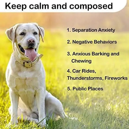 CalmPaws Puppy Heartbeat Toy for Anxiety Relief  Plush Comfort & Sleep Aid