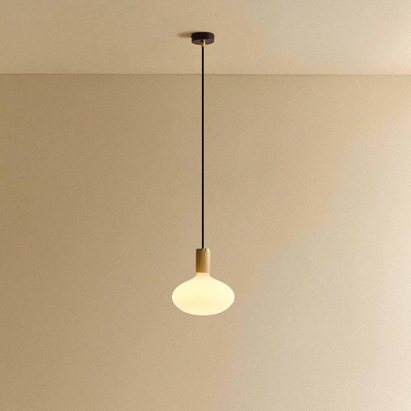Oval II Pendant Light in Oak