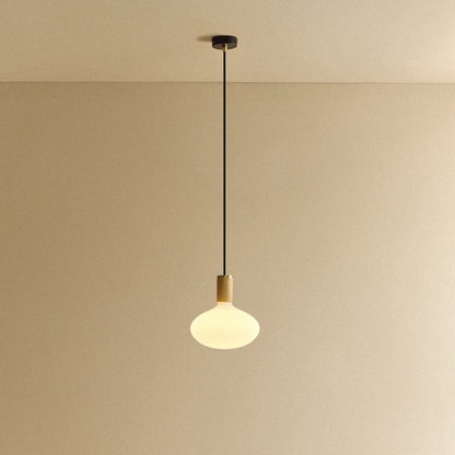 Oval II Pendant Light in Oak