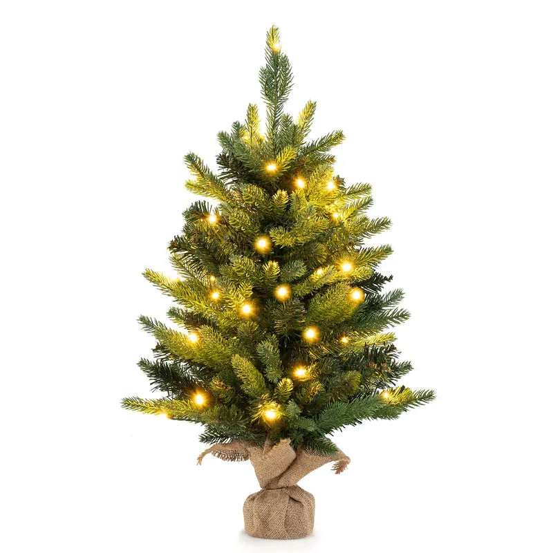 2-Foot Tabletop Pre-Lit Spruce Christmas Tree with 35 Warm White LED Lights