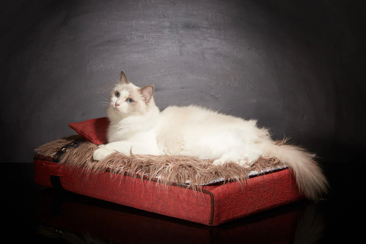 Lit pour chat « Inuit » rouge feu