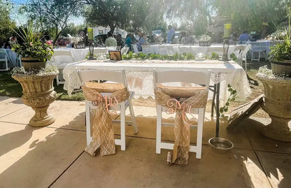 Elegant Mr. & Mrs. Chairback Signs for Ceremony Seating