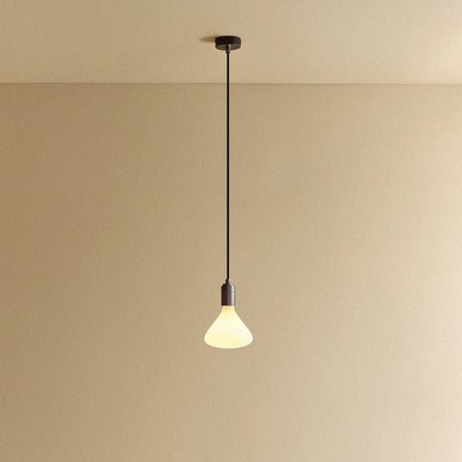 Noma Pendant Light in Graphite