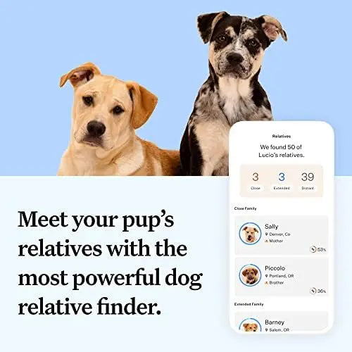 Wisdom Panel Essential Dog DNA Kit: Accurate Test for 365+ Breeds, 30 Health Conditions, 50+ Traits, Ancestry  1 Pack