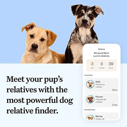 Wisdom Panel Essential Dog DNA Kit: Accurate Test for 365+ Breeds, 30 Health Conditions, 50+ Traits, Ancestry  1 Pack