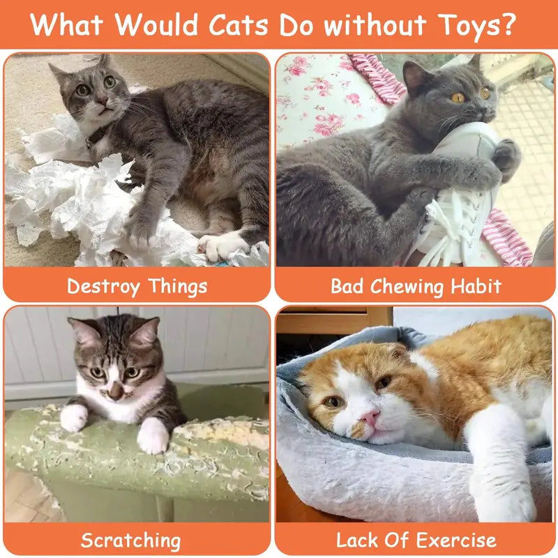 Brand Catnip-Infused Plush Interactive Cat Toys  5 Pack, Farm-Themed, Safe & Non-Toxic, for Active Play & Dental Health