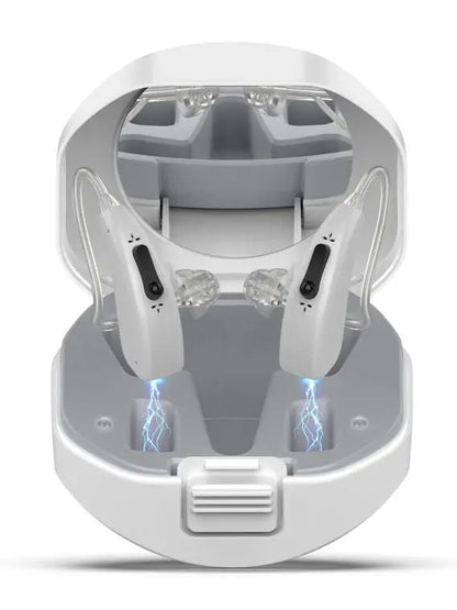 Brand Hearing Aids for Seniors, Dual Microphone, Comfortable Fit, Gray  For Mild to Severe Hearing Loss