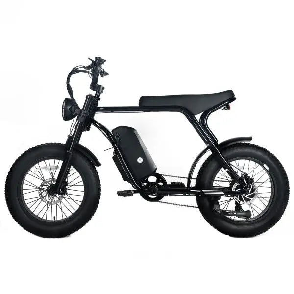 Adult Electric Fat-Tire Mountain Bike — 1000W Motor, 48V 20Ah Removable Battery, 45 MPH Top Speed