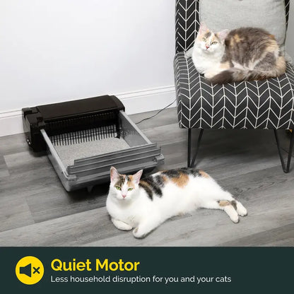 Pet Zone Self-Cleaning Cat Litter Box, Automatic Odor Control, Easy Maintenance, Quiet Motor, Ideal for Medium Cats
