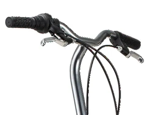 Schwinn Loop Folding Bike for Adults  20″ Wheels, 7-Speed, Step-Through Frame with Cargo Rack & Carry Bag