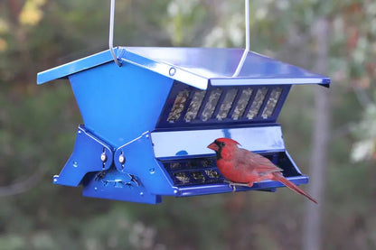 Woodlink Squirrel Resistant Hopper Metal Bird Feeder, Blue
